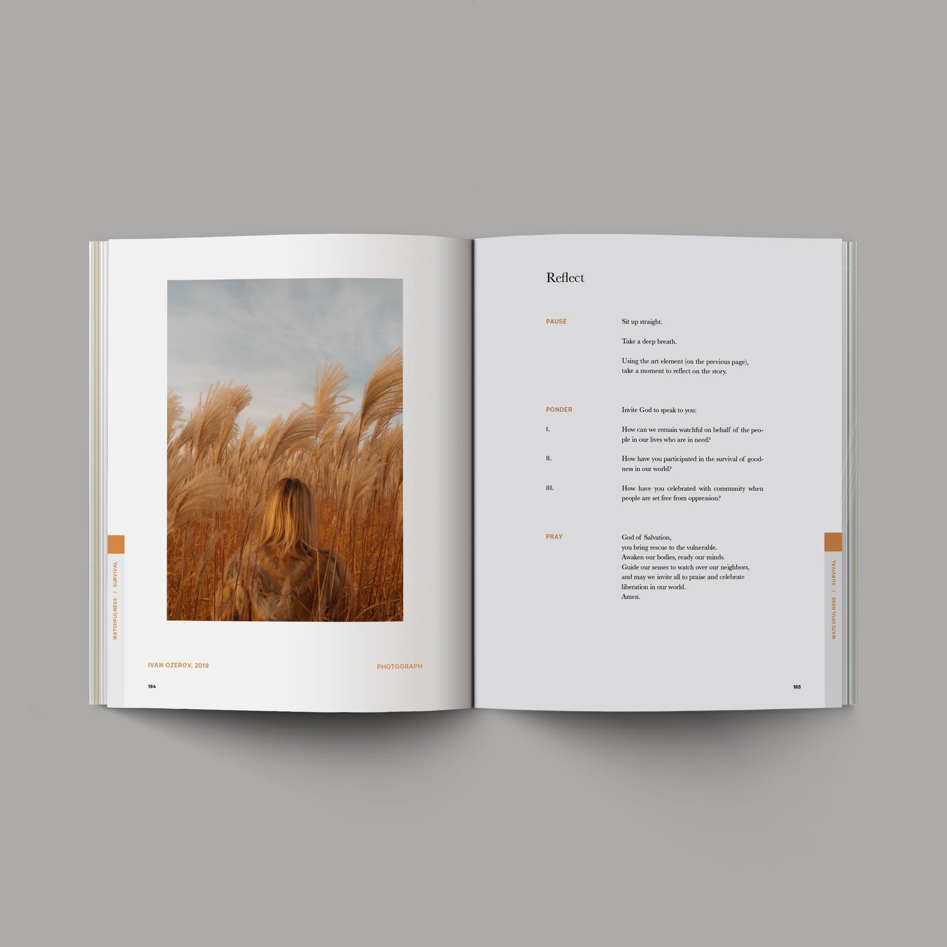 Bible Study Gift Set
