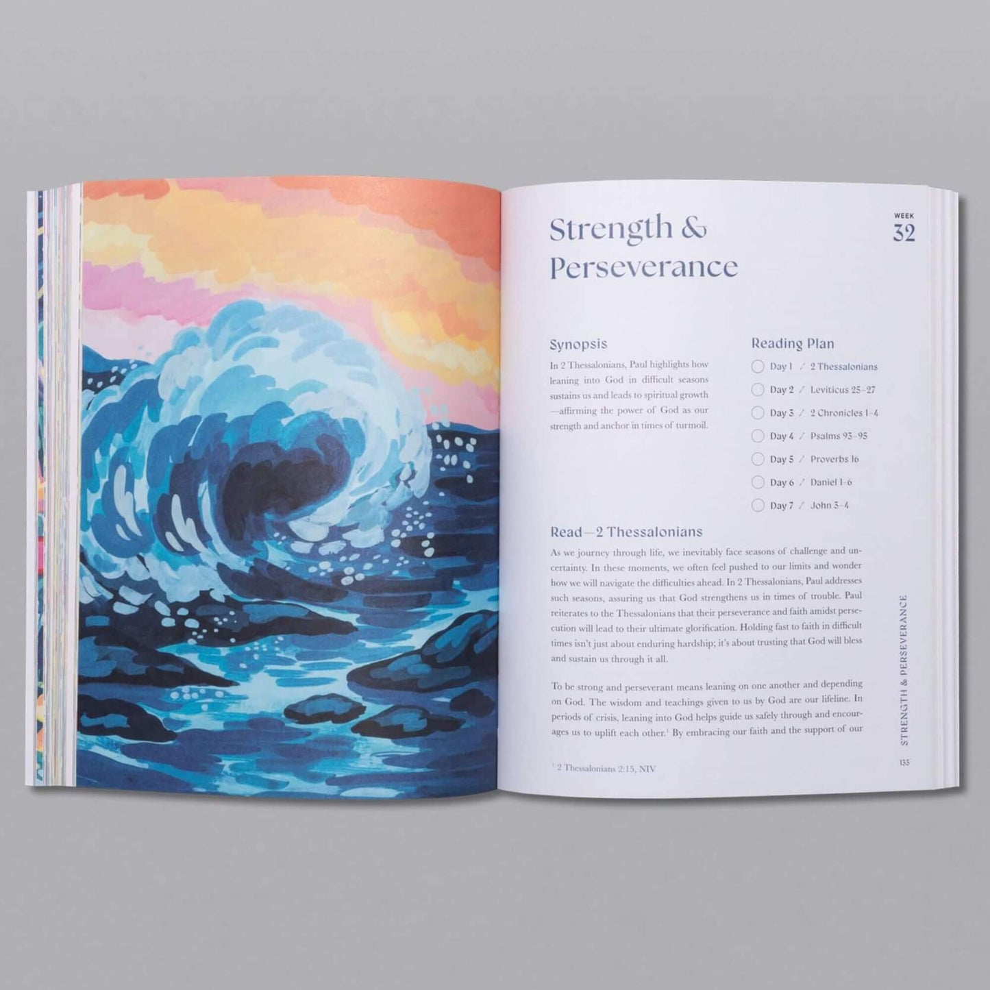 A Beautiful Year in the Bible Study