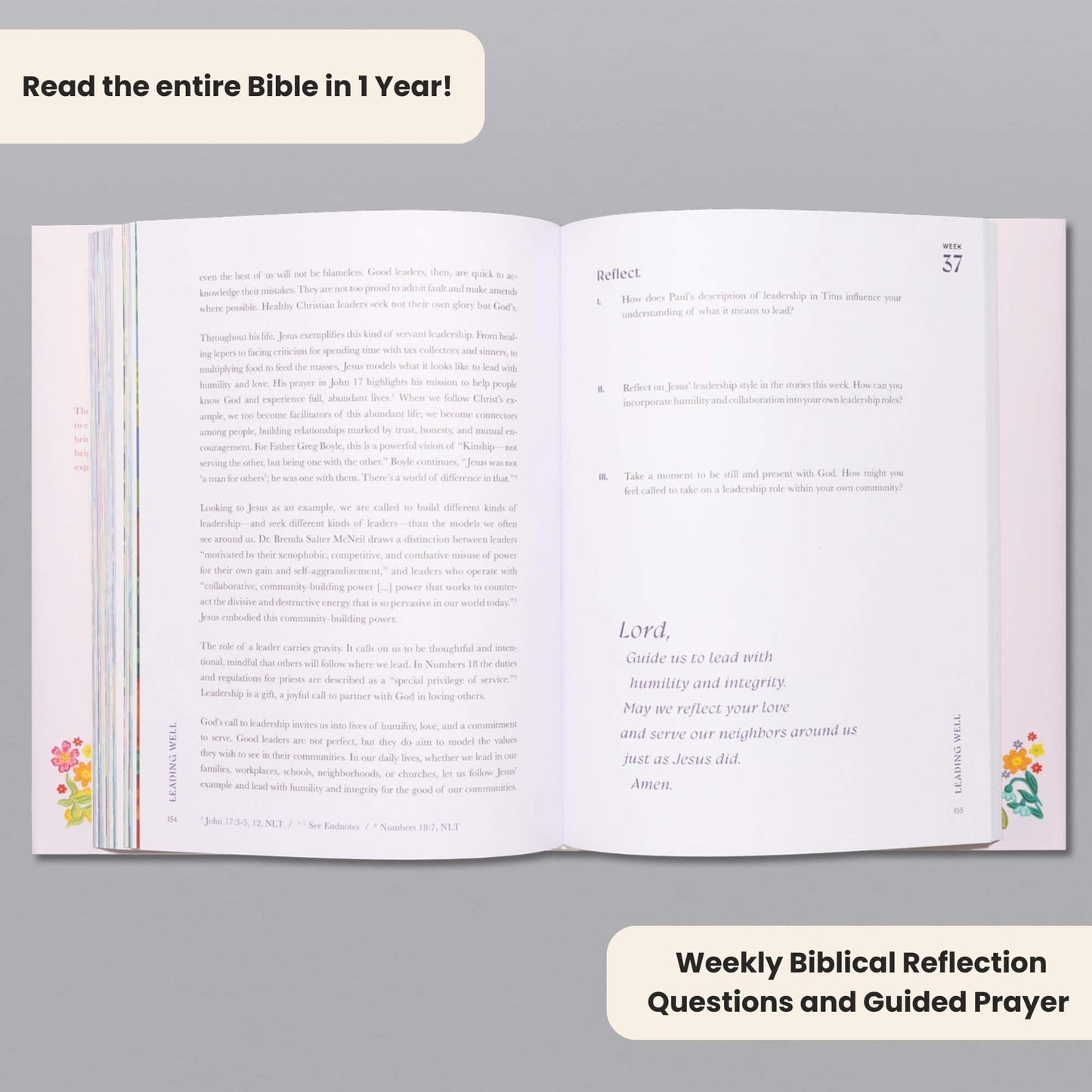 A Beautiful Year in the Bible Study