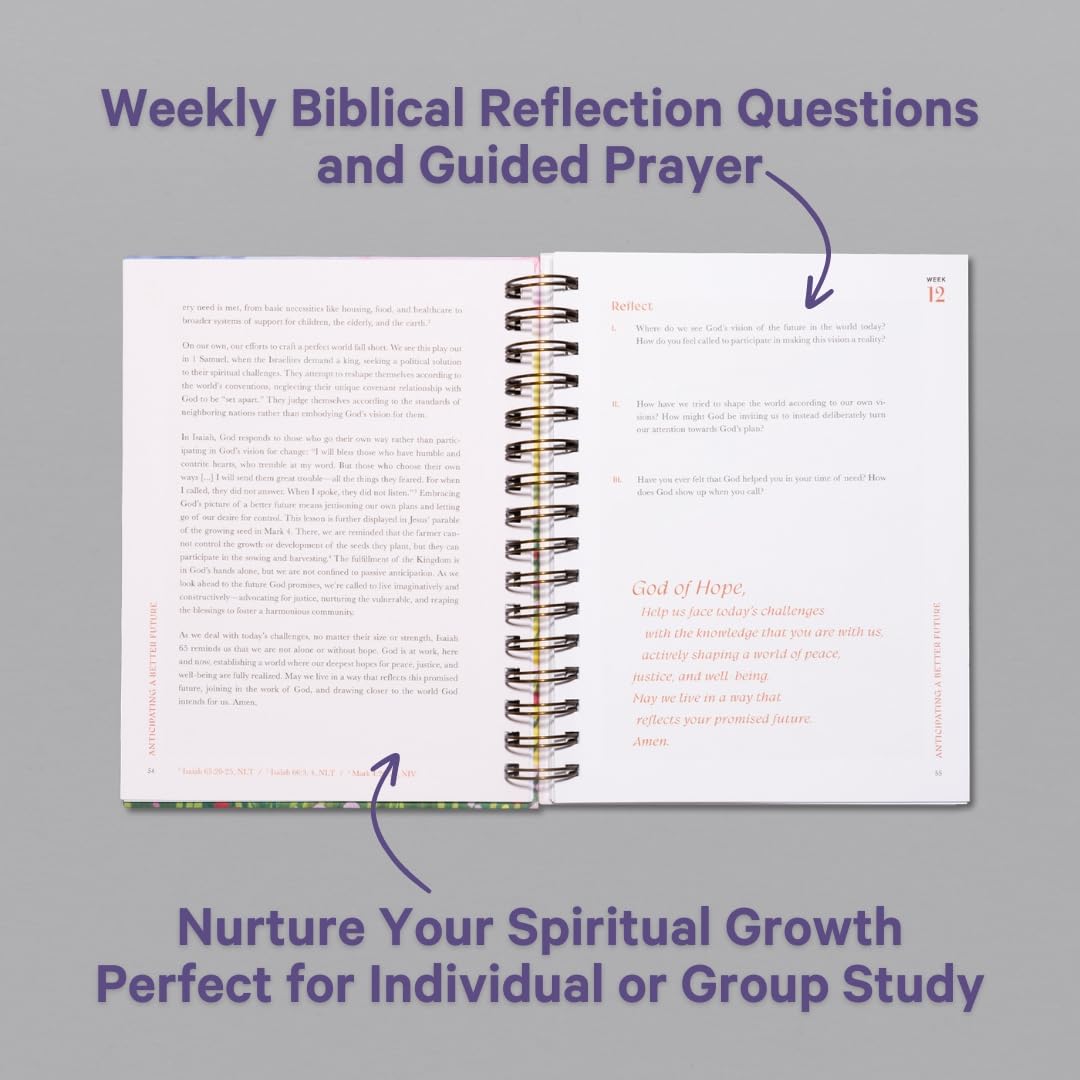 A Beautiful Year in the Bible Study (Spiral)
