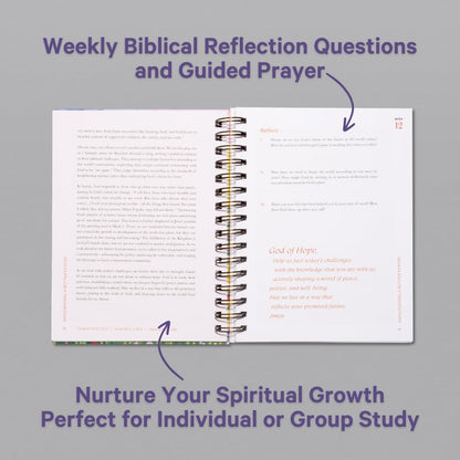 A Beautiful Year in the Bible Study (Spiral)